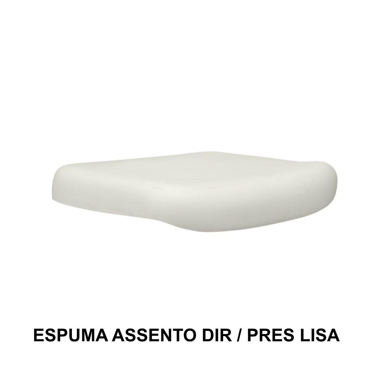 Conjunto de Espuma ASSENTO / ENCOSTO Presidente Baixa LISA - 99210 - Imagem 3