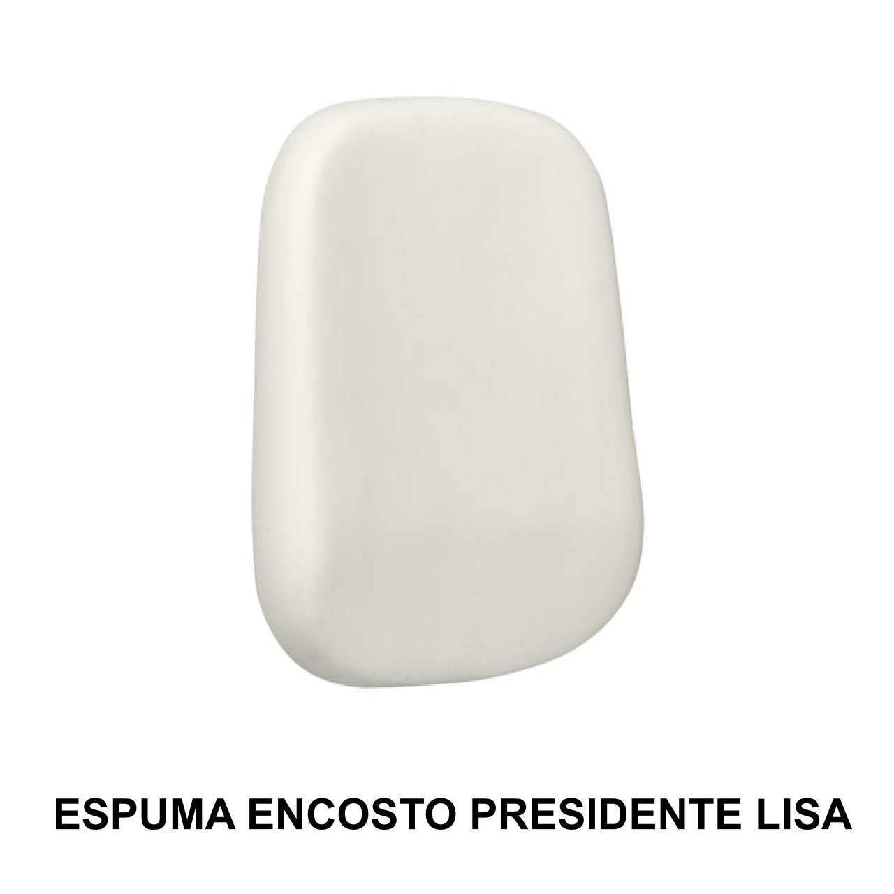 Conjunto de Espuma ASSENTO / ENCOSTO Presidente Baixa LISA - 99210 - Imagem 2